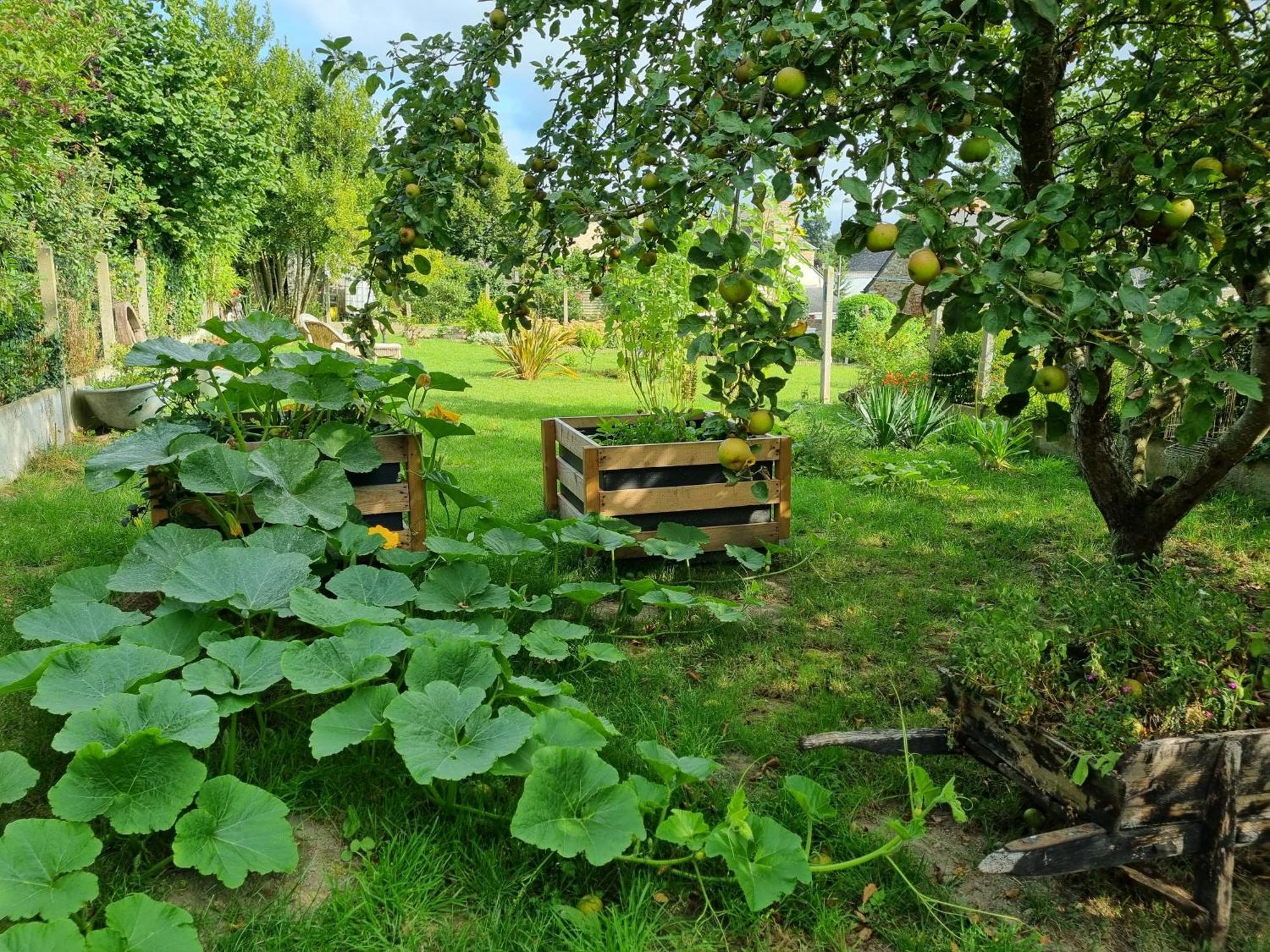 Les Forges Du Lou Apartamento Jugon-les-Lacs Exterior foto